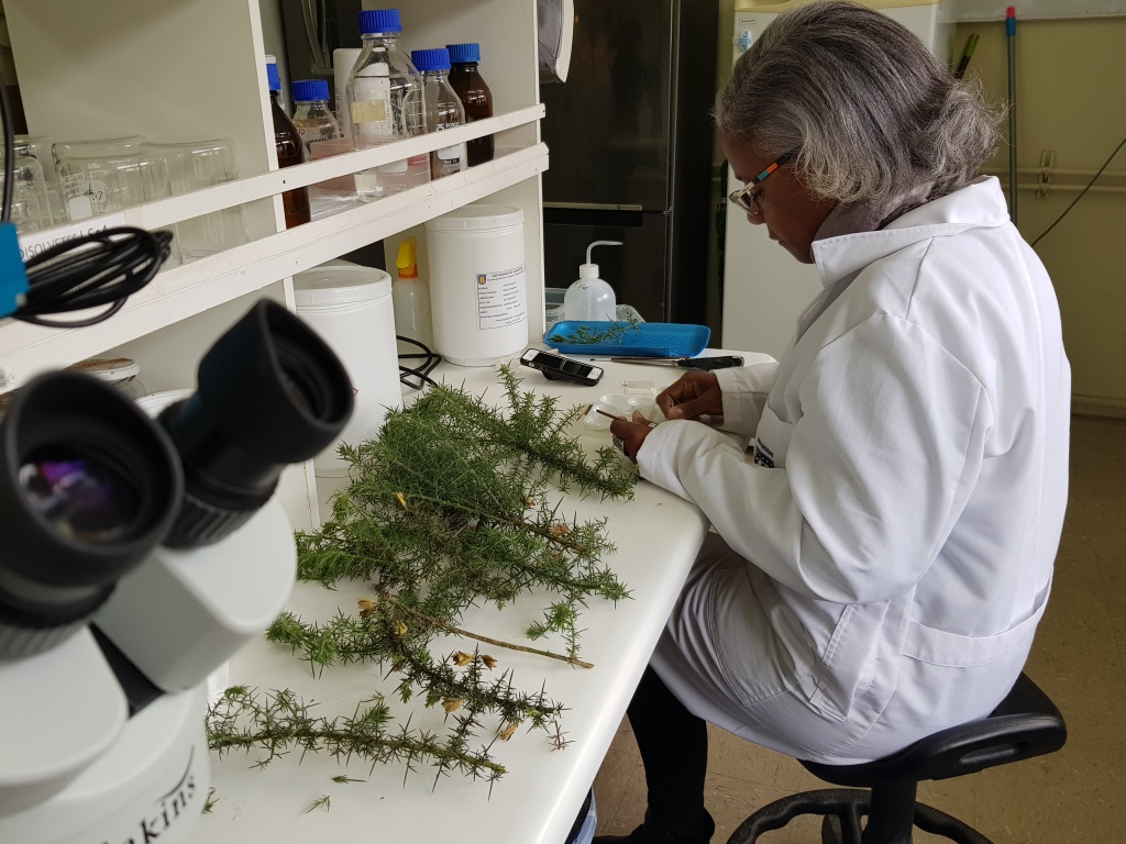 Facultad de Ciencias Forestales